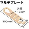 RT09-C106 マルチプレート REX(レックス)[自動車用品] 86553805