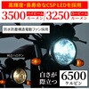 69541 PRECIOUS RAY ZX 6500K H4 DAYTONA(デイトナ) 86561785