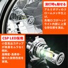 69541 PRECIOUS RAY ZX 6500K H4 DAYTONA(デイトナ) 86561785