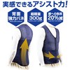 - AVXgxXg ^XP AgGP[ 86816757