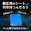87035051,53273947,87035067,53273956,87035076