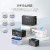 RBC50D1S DCCシリーズ 12V 50A 走行充電器 MPPTチャージコントローラー内蔵 RENOGY JAPAN 88089307