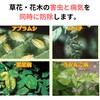 - xjJXXv[ ZFw| 88379864