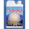 パワーアップ 国華園