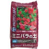 ミニバラ