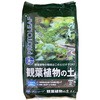 鹿沼土 観葉植物