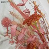 8730-6310 モーヴピンク造花バンドル 高さ53cm ストア・エキスプレス 88454619