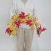 8186-716 紅葉造花アーチクリップ ストア・エキスプレス 88454847