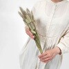 8784-4901 秋のドライフラワー[天然素材] ストア・エキスプレス 88455319