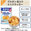 10002416 3日分非常食セット 10年保存水・5年保存食 Aタイプ HS5A01 EVERSAFE 88459896