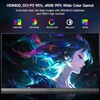 G2511X KOORUI 24.5インチ FHD 240Hz GTG1ms Fast IPSゲーミングモニター KOORUI 88460255