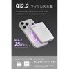 CIO-MB30W1C-SSA10K-S2W25-SL SMARTCOBY SLIMII Wireless2.2 SS10K シルバー CIO 88461068