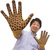 ※着用例