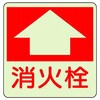 88589645