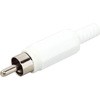 MR-595N-W7 ピン・プラグジャック MR-595N マル信無線電機 88601248