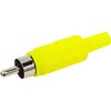 sEvOWbN MR-595N }Md@