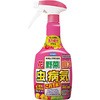 観葉植物 虫