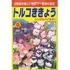 トルコききょう バイカラー