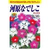 【タネ】河原なでしこミックス