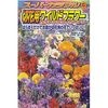 【タネ】スーパーカラフル切花用ワイルドフラワーカットフラワーガーデン
