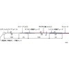 高精度ハンディタイプ温度計用温度センサ 低温用 BUMシリーズ 安立計器