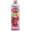切り花