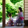 4901080308207 A[Xm[}bgւ{g A[X 89829101