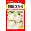 博多かぶ