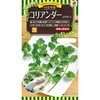 コリアンダー 種