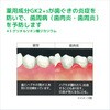 - GUM(ガム)・デンタルペースト各種 サンスター 89835943