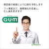 - GUM(ガム)・デンタルペースト各種 サンスター 89835943