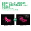 - ガム・デンタルペースト サンスター 89835961