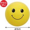 1687 にっこりキッズボール アーテック[学校教材・教育玩具] 89846803