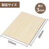 45122 しなベニヤ アーテック[学校教材・教育玩具] 89850303