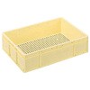 食品用コンテナー T-36 岐阜プラスチック工業(RISU/リス)