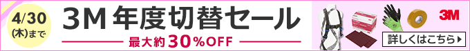 3M年度切替セール最大約30%OFF。4月30日まで。詳しくはこちら。