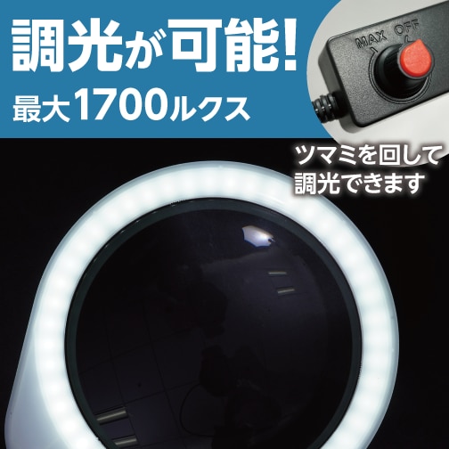 \Iő1700NXBc}~񂵂Ēł܂