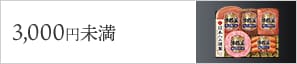 3,000円未満