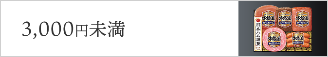 3,000円未満