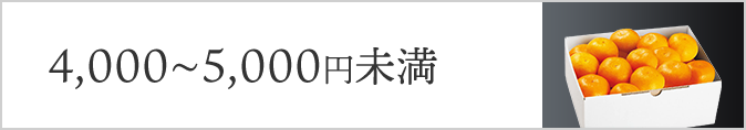 4,000円～5,000円未満