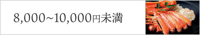 8,000円～10,000未満