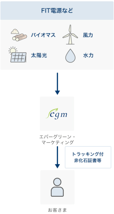 エバーグリーンプラン