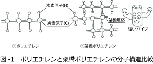 ポリエチレンと架橋ポリエチレンの分子構造比較
