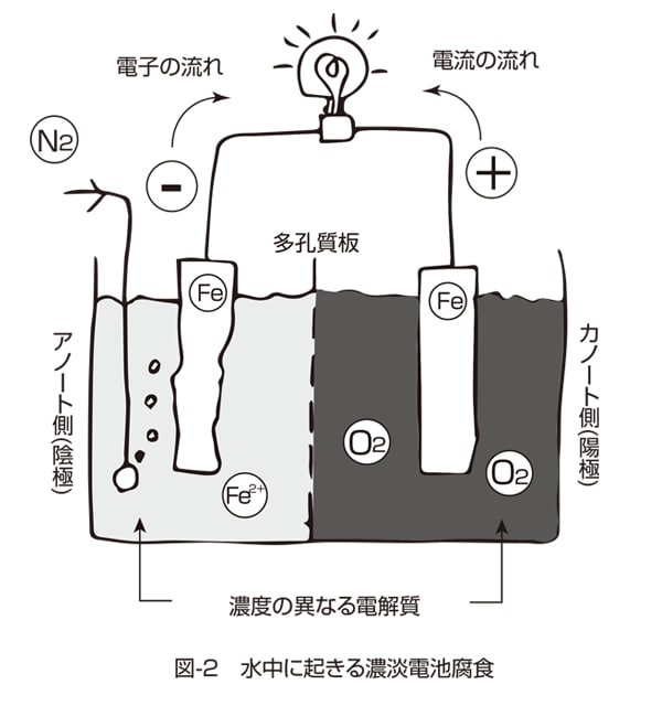 図-２　水中における濃淡電池腐食