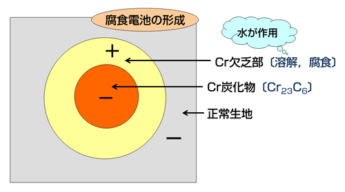 図２　SUS304における粒界腐食の原理