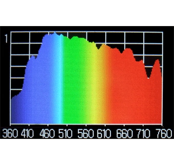 写真2　太陽光（青空光を含む）スペクトル分布※1