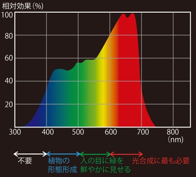 特殊照明用LEDランプ 【通販モノタロウ】