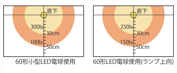 図２　LED電球用スタンドの概略照度（左が写真4で右が写真2の器具。いずれも光源高さが40cmである。）