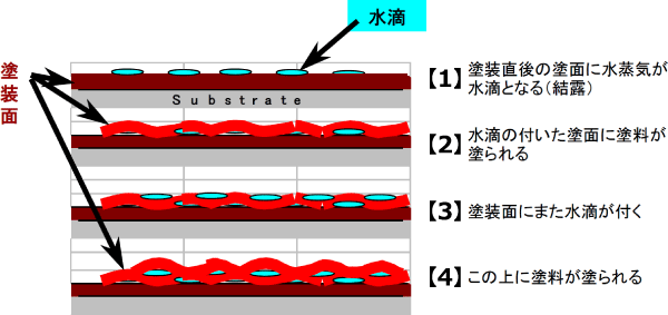 白化塗膜の構造から推定した塗膜形成過程