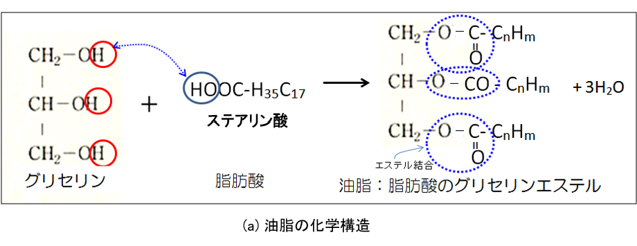 図4-19-a 油脂の化学構造
